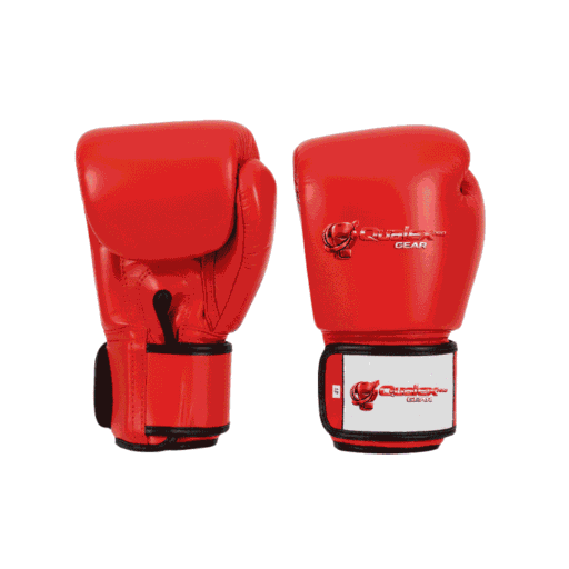 Boxing  Gloves